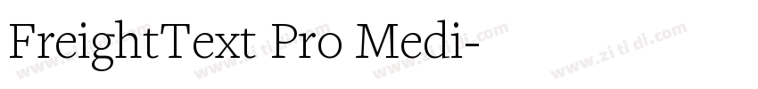 FreightText Pro Medi字体转换